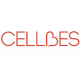 cellbes.cz